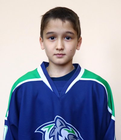 Шарафутдинов  Даниэль  Салаватович