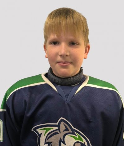 ВОИНКОВ  ВЛАДИМИР  АЛЕКСЕЕВИЧ